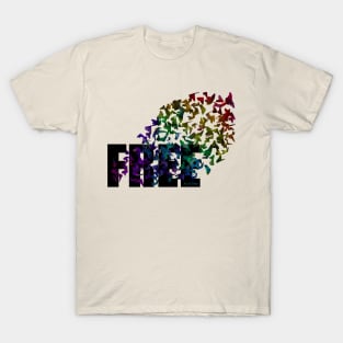 Free Rainbow T-Shirt